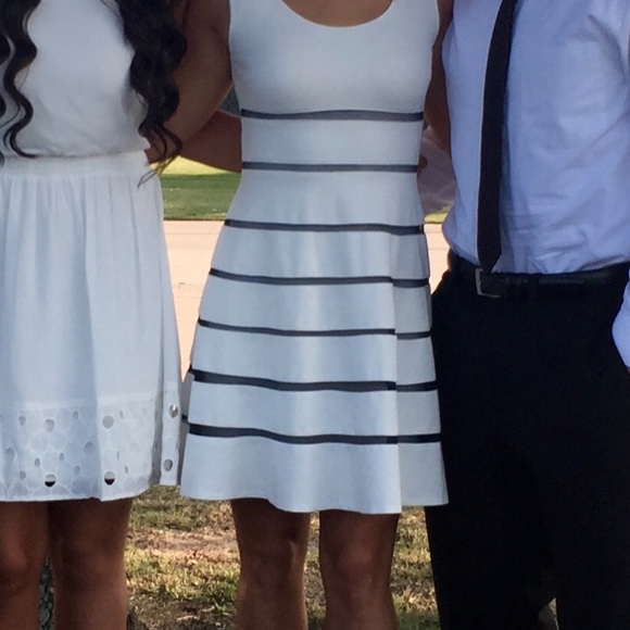 ERIN Fetherston Ivory and Black Striped Mesh Dress - Picture 5 of 5